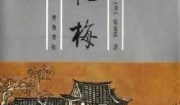 金梅瓶4集在线观看,第四集精彩预告，揭开神秘面纱